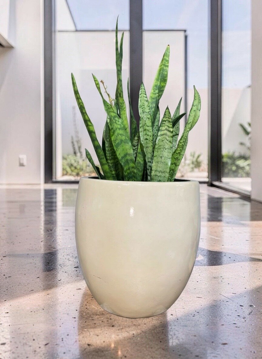 VASO NOBRE AUTO BRILHO M