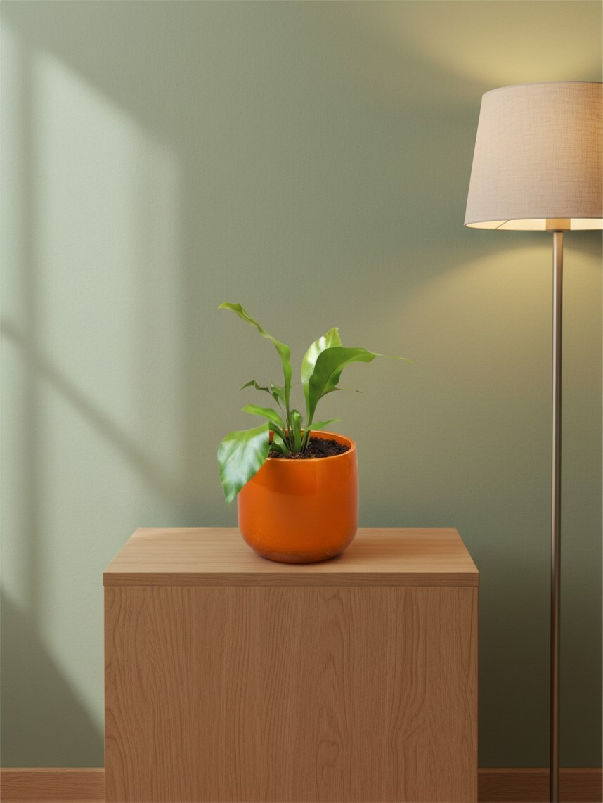 VASO BRETAGNE COGNAC
