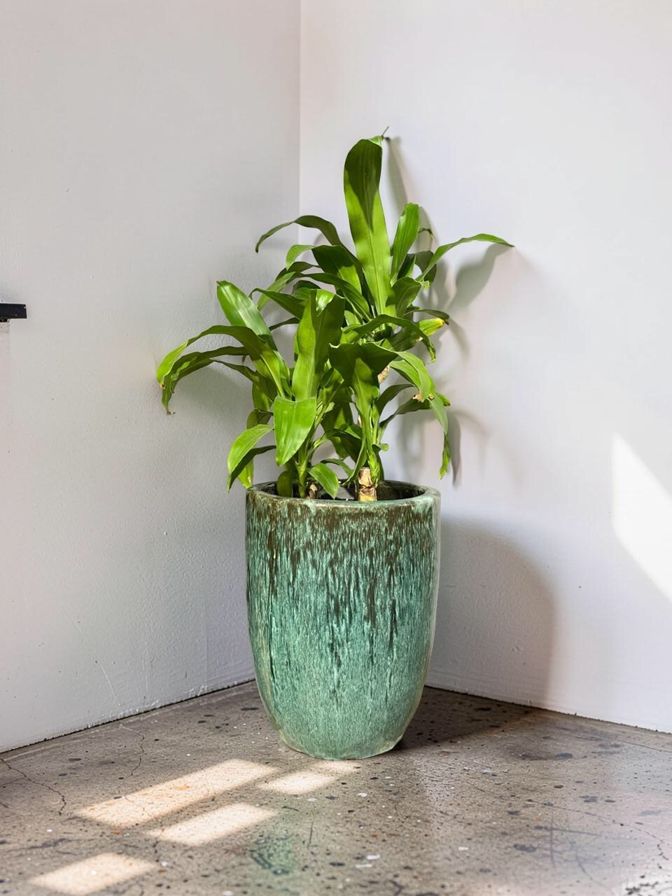 VASO A CLÁSSICO JADE