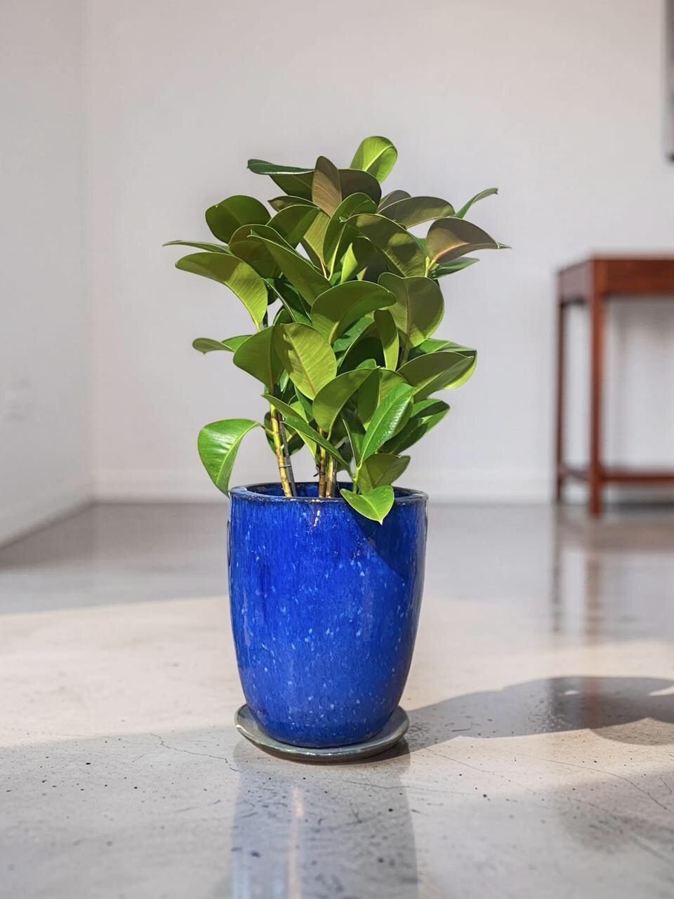 VASO A CLASSICO AZUL