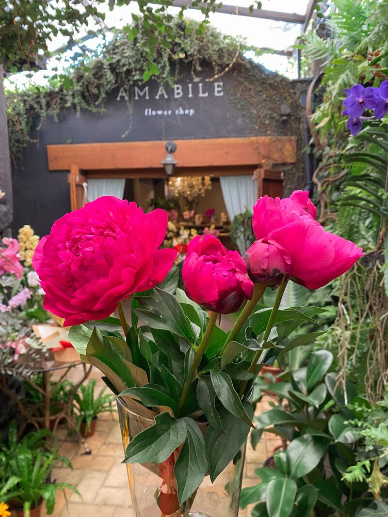 Buquê sofisticado com flores variadas